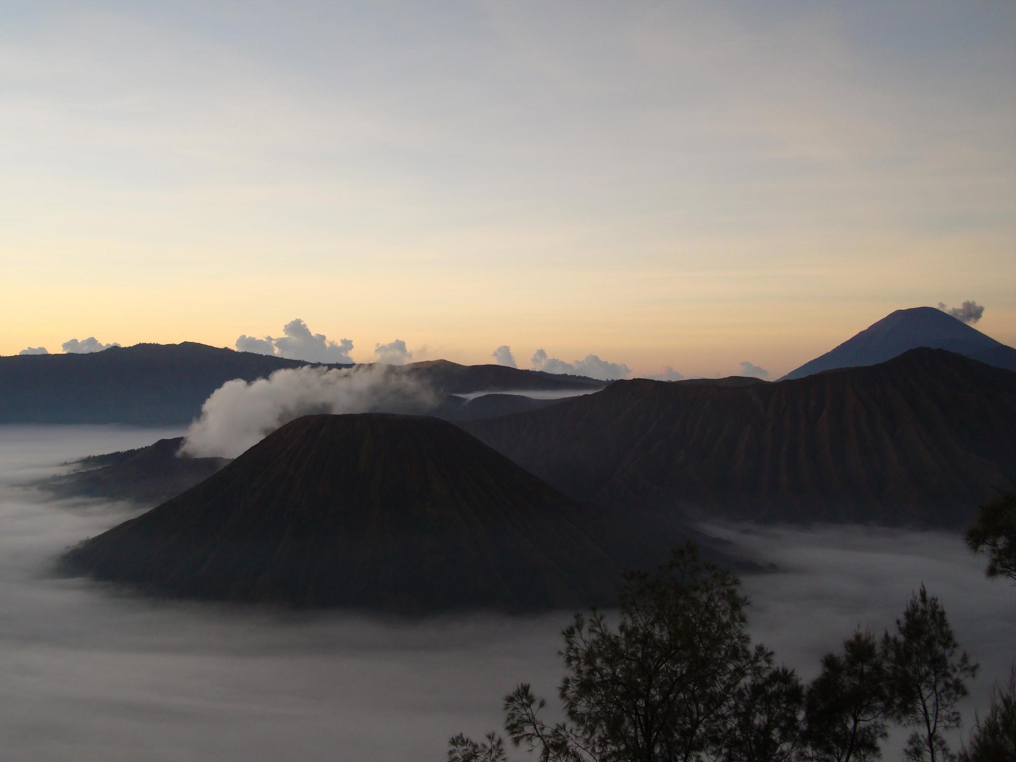 Yog Bromo Homestay Ngadisari Exterior photo